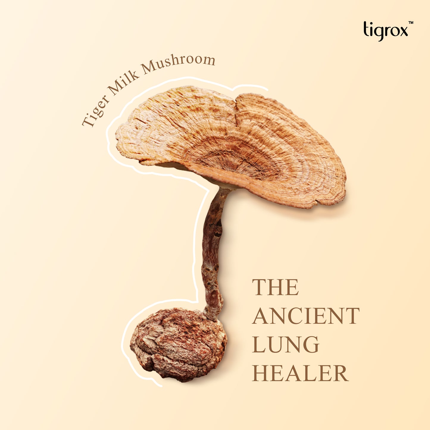 Tigrox Tiger Milk King